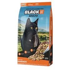 BLACK CAT ADULTO 10KG
