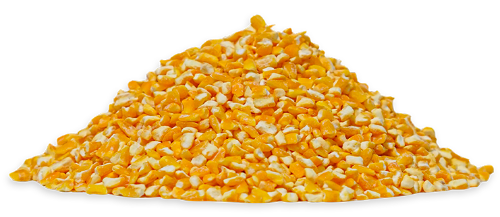 MAIZ TRILLADO AMARILLO *1KG