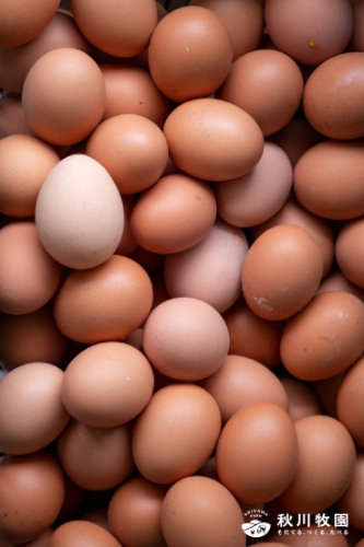 03 HUEVOS