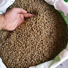 PONEDORA *1KG