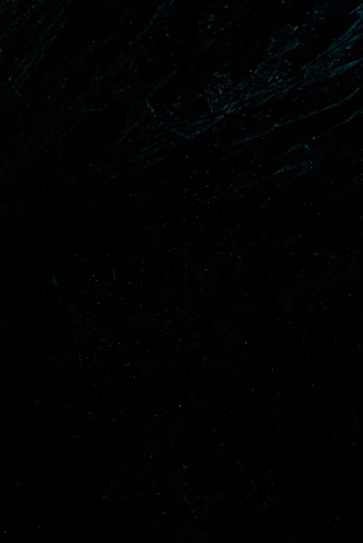 PINTURA AL FRIO YOGUI NEGRO