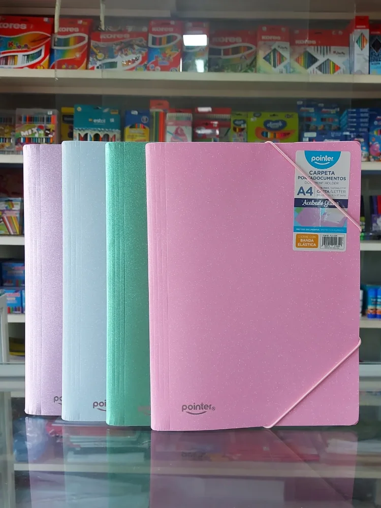 CARPETA CON LIGA ESCARCHADA POINTER