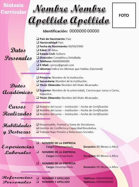 RESUMEN CURRICULAR ELABORACION
