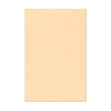 FOAMI D/CARTA PIEL