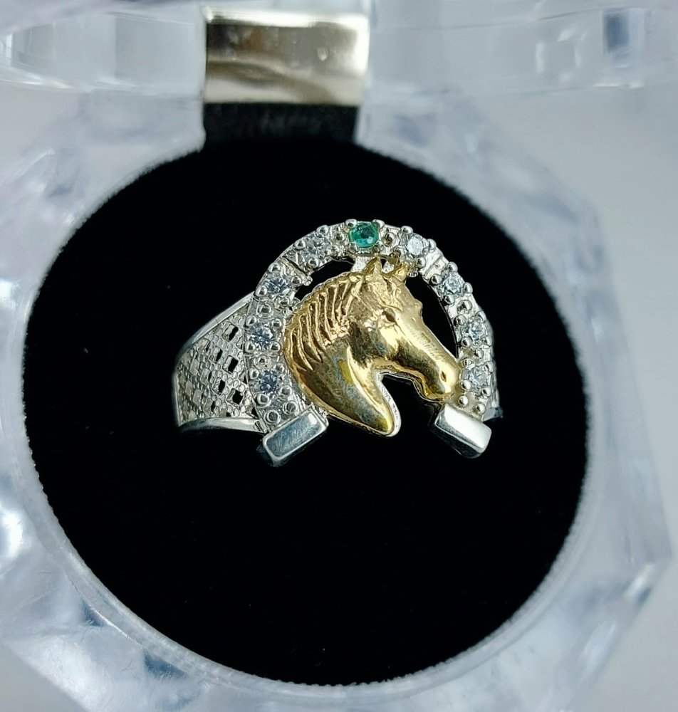 anillo de caballo
