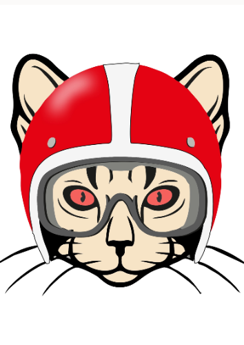 CAT MOTOR GARCIAS S.A.S