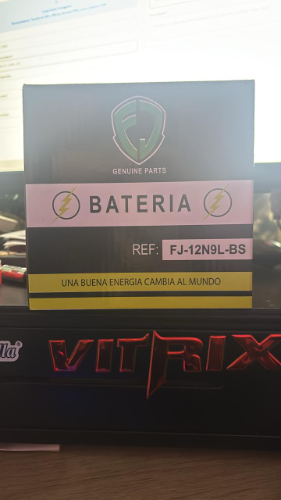 BATERIA FJ-12N9L-BS GN 125