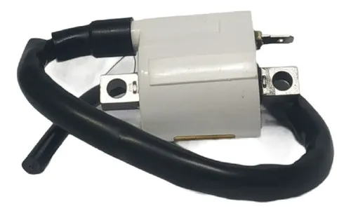 BOBINA ALTA BOXER CT 100 S&K