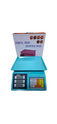 805-BALANZA RAY SCALE CELESTE 40KG