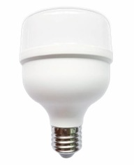 BOMBILLO LED 30W LUZ DIA E27 (ZFR61) MULTIVOLTAJE