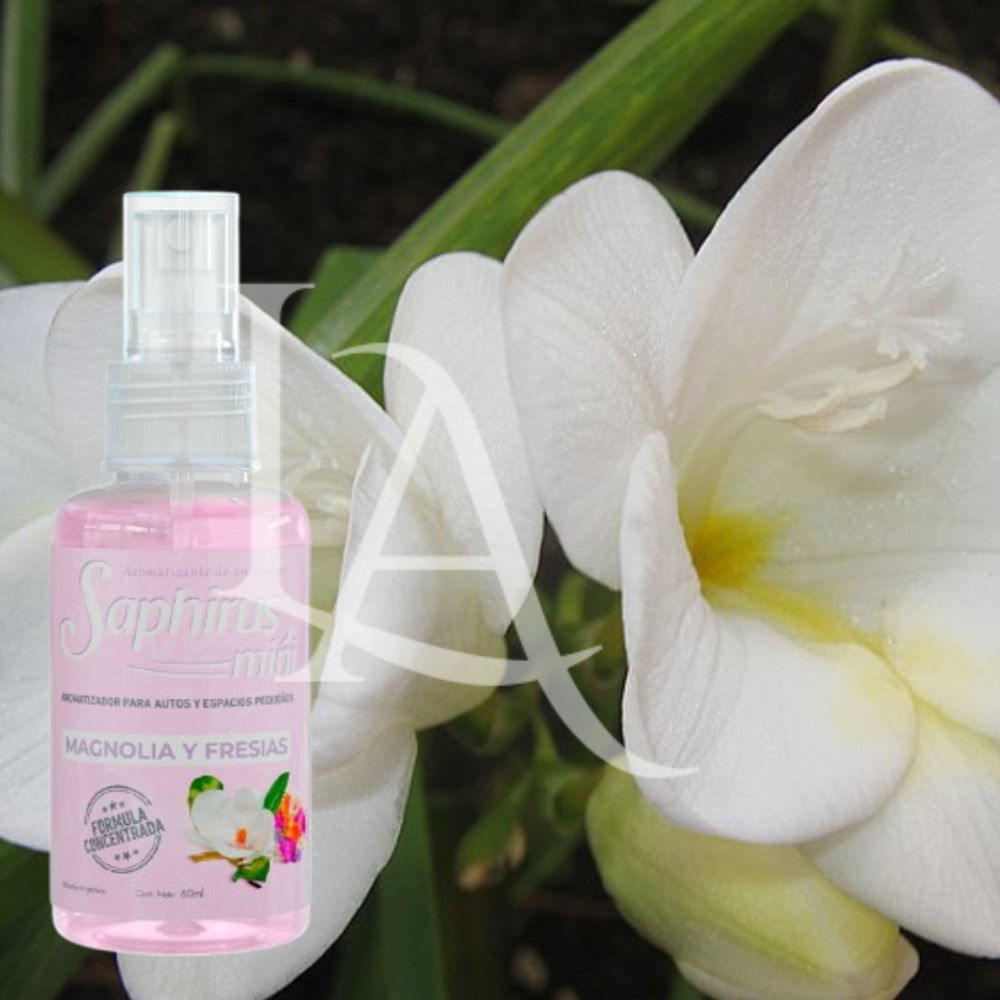 Mini Magnolia y Fresias
