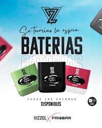 PILAS DE VIZZEL