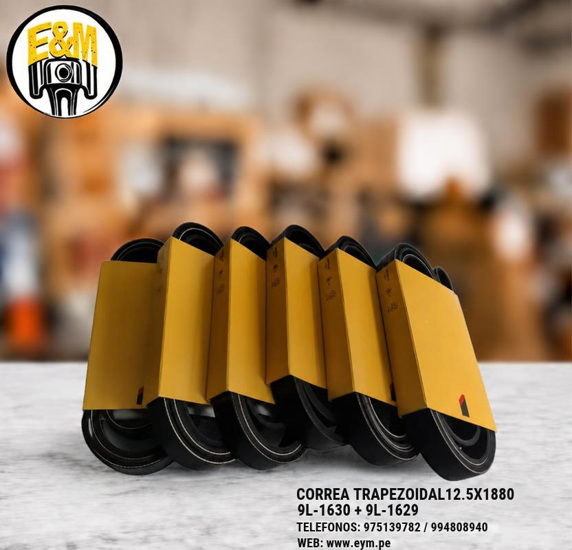 9L-1630 + 9L-1629 CORREA TRAPEZOIDAL12.5X1880