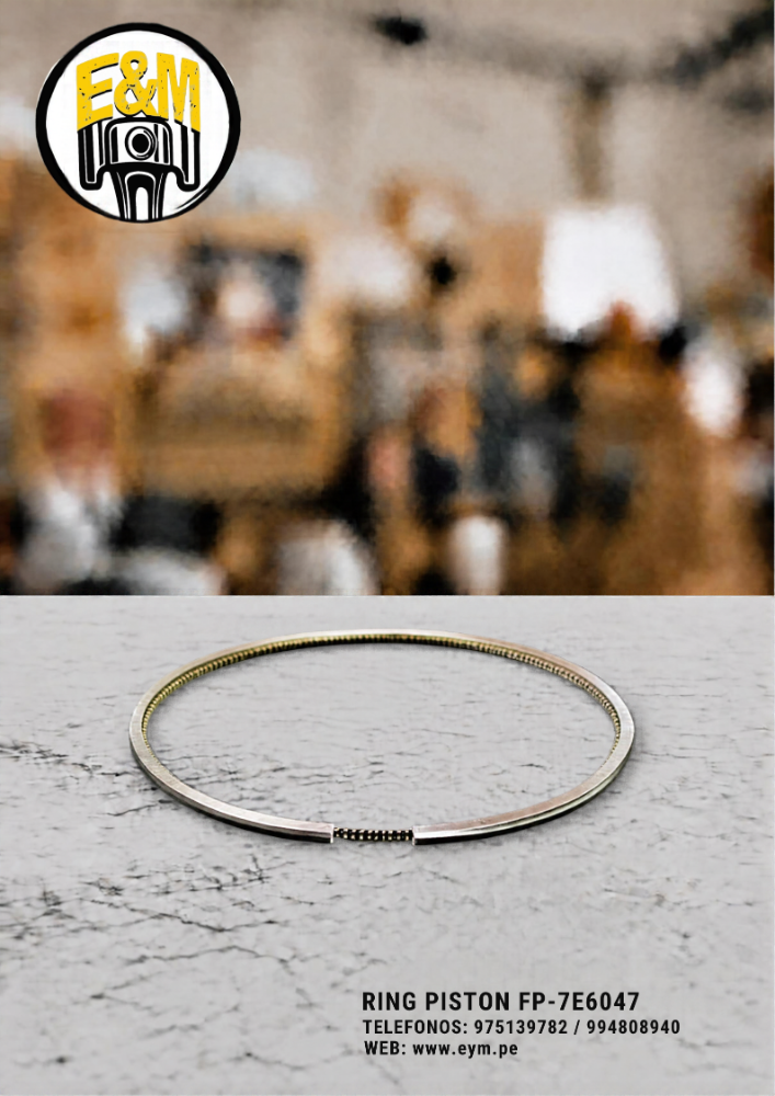 FP-7E6047 RING PISTON