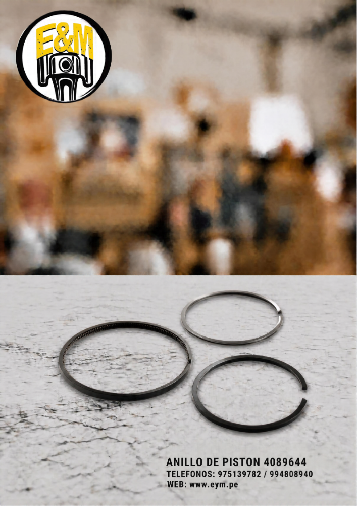 4089644 ANILLO DE PISTON