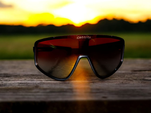 Gafas Carrera