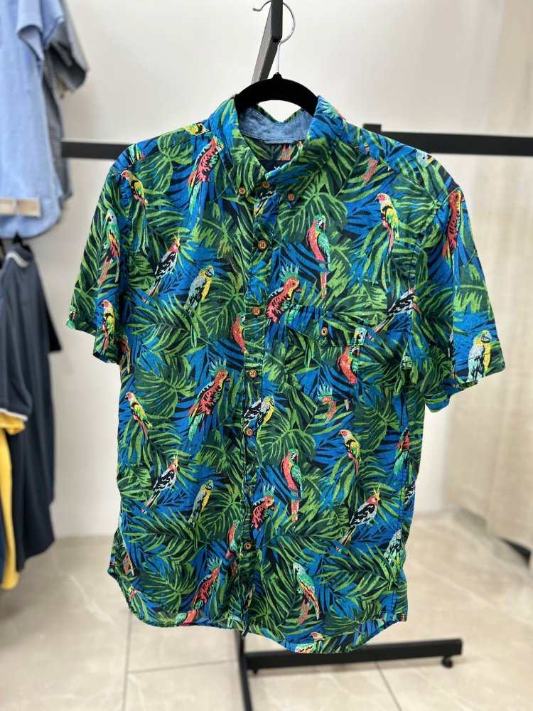 Camisa manga corta azul verde aves AMERICAN EAGLE TM