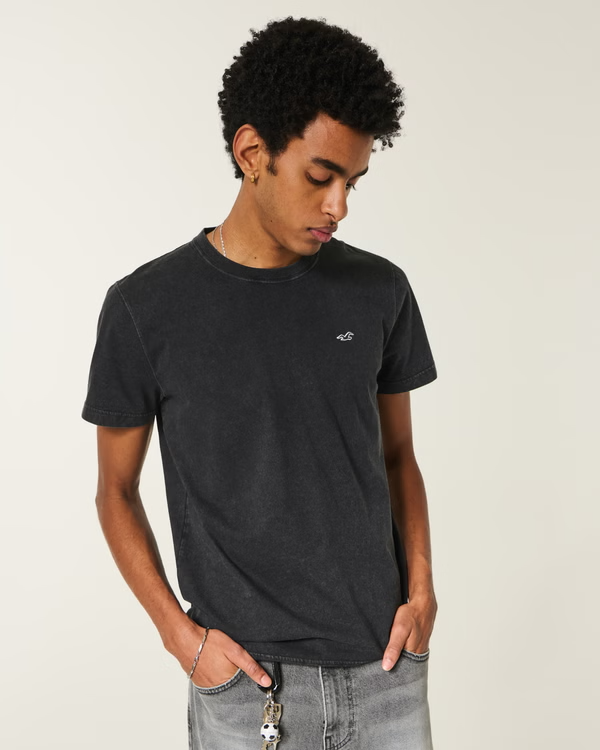 Camiseta Básica Hollister negra