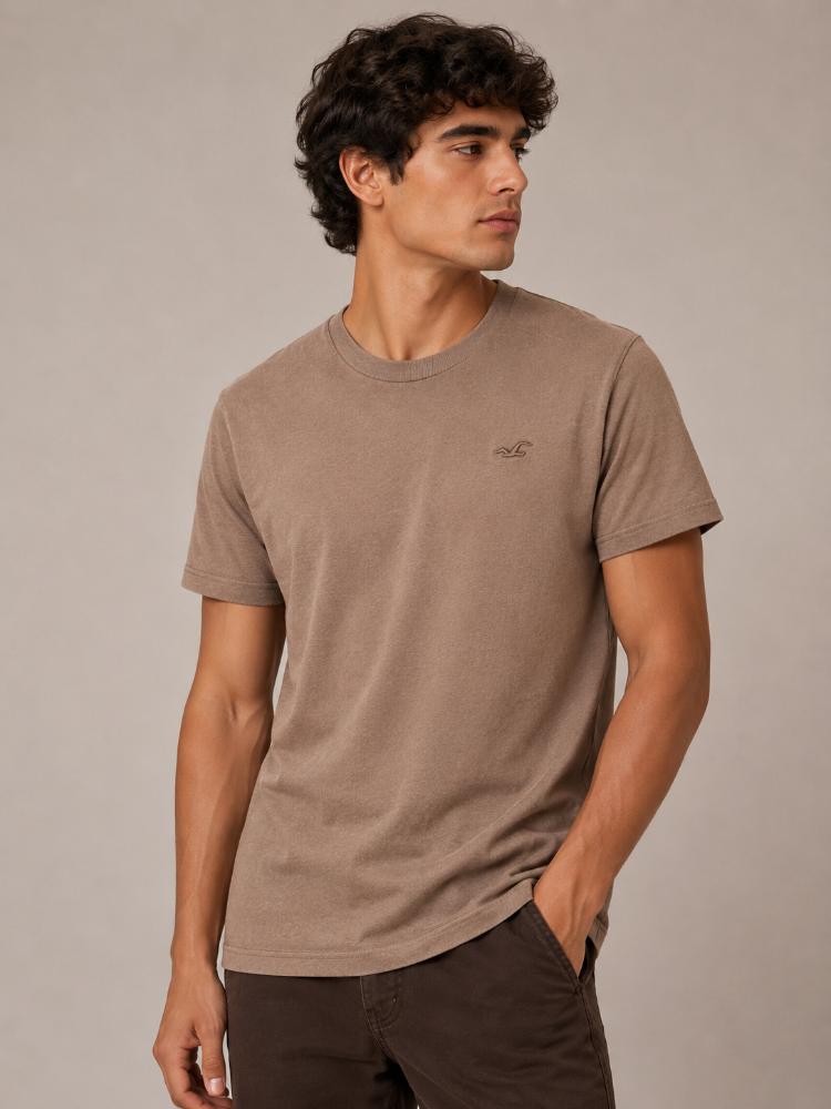 Camiseta Básica Hollister light brown