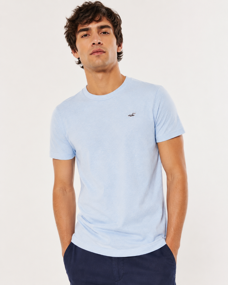 Camiseta Básica Hollister celeste