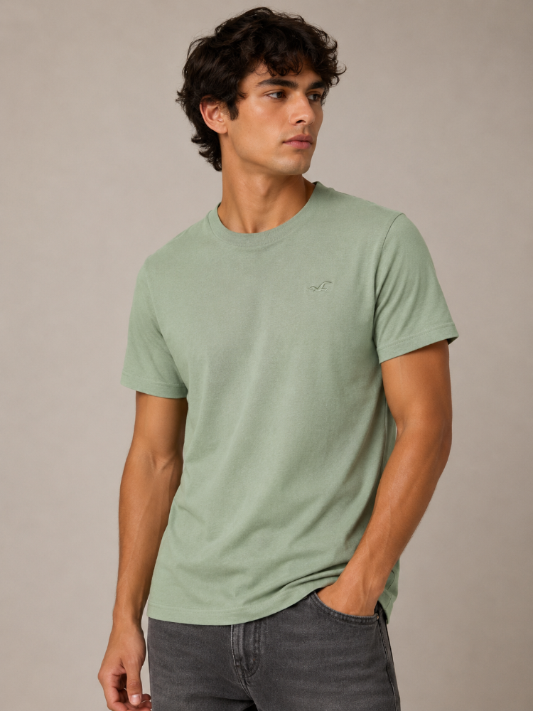 Camiseta Básica Hollister verde claro