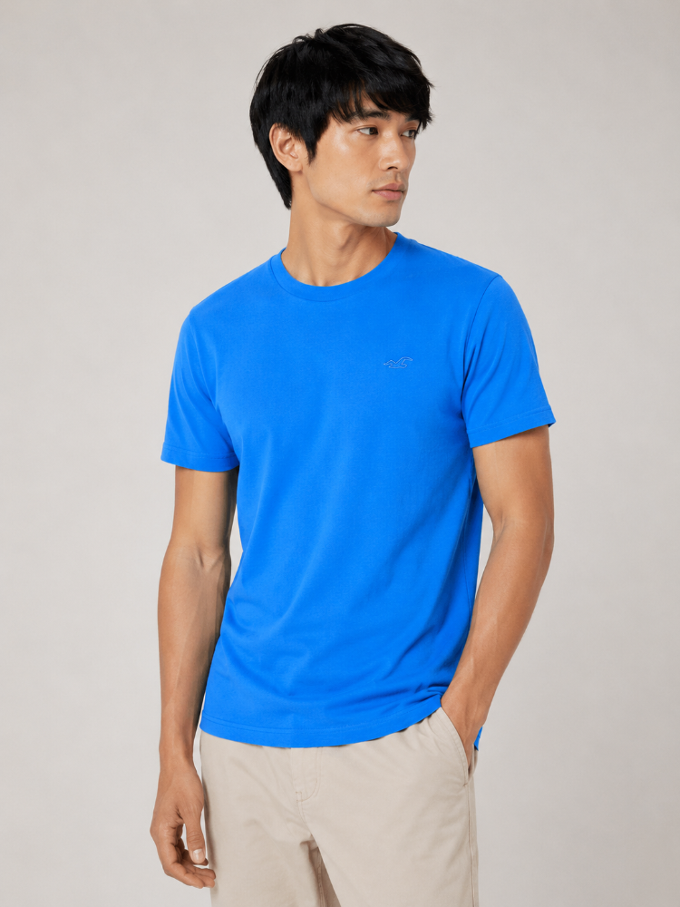 Camiseta Básica Hollister celeste ocuro