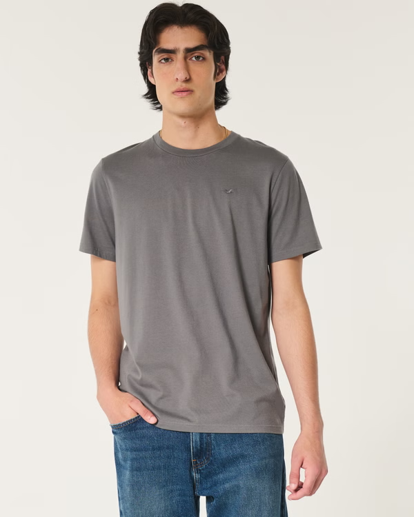 Camiseta Básica Hollister gris oscuro