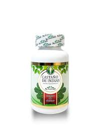 Castaño de indias