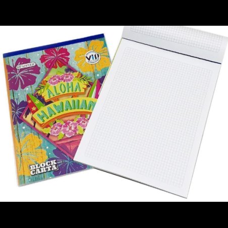 Block cuadros carta 70 hojas