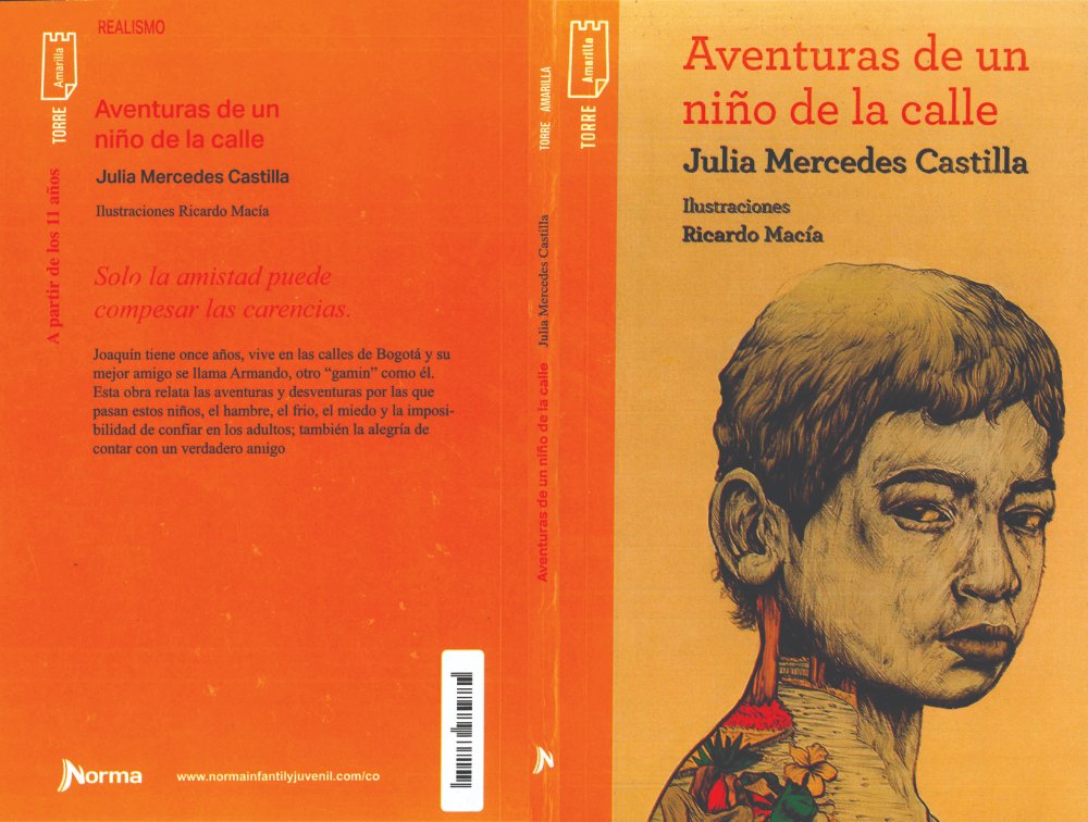 AVENTURAS DE UN NIÑO DE LA CALLE