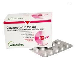 CLAVASEPTIN 250MG TABLETAS