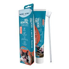 GEL DENTAL MONAMI 50G