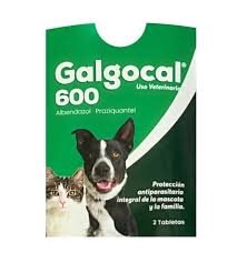 GALGOCAL 600 TABLETAS