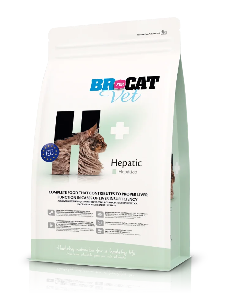 BR FOR CAT HEPATIC 500G