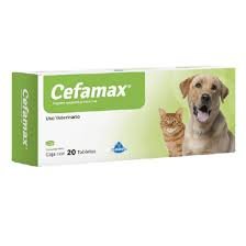 CEFAMAX 250MG