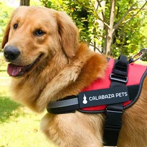 ARNES PARA PERRO ANTITIRONES-PA70-M