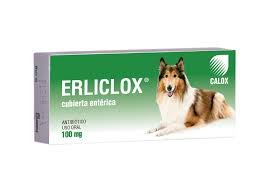 ERLICLOX 100MG TABLETAS