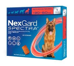 NEXGARD SPECTRA 30-60 KG