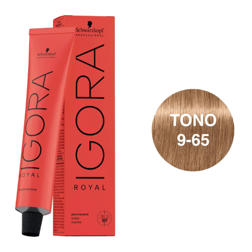 D1 TTE IGORA 9/65