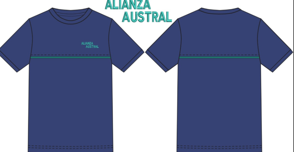 TALLA 14/ POLERA POLO/ ALIANZA AUSTRAL