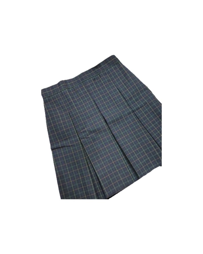 FALDA TALLA L