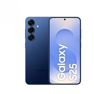 Samsung Galaxy S25 Celular