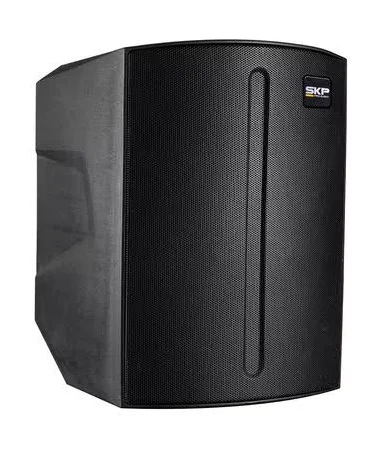 SKP Caja Amplificada con bateria Q1 PRO