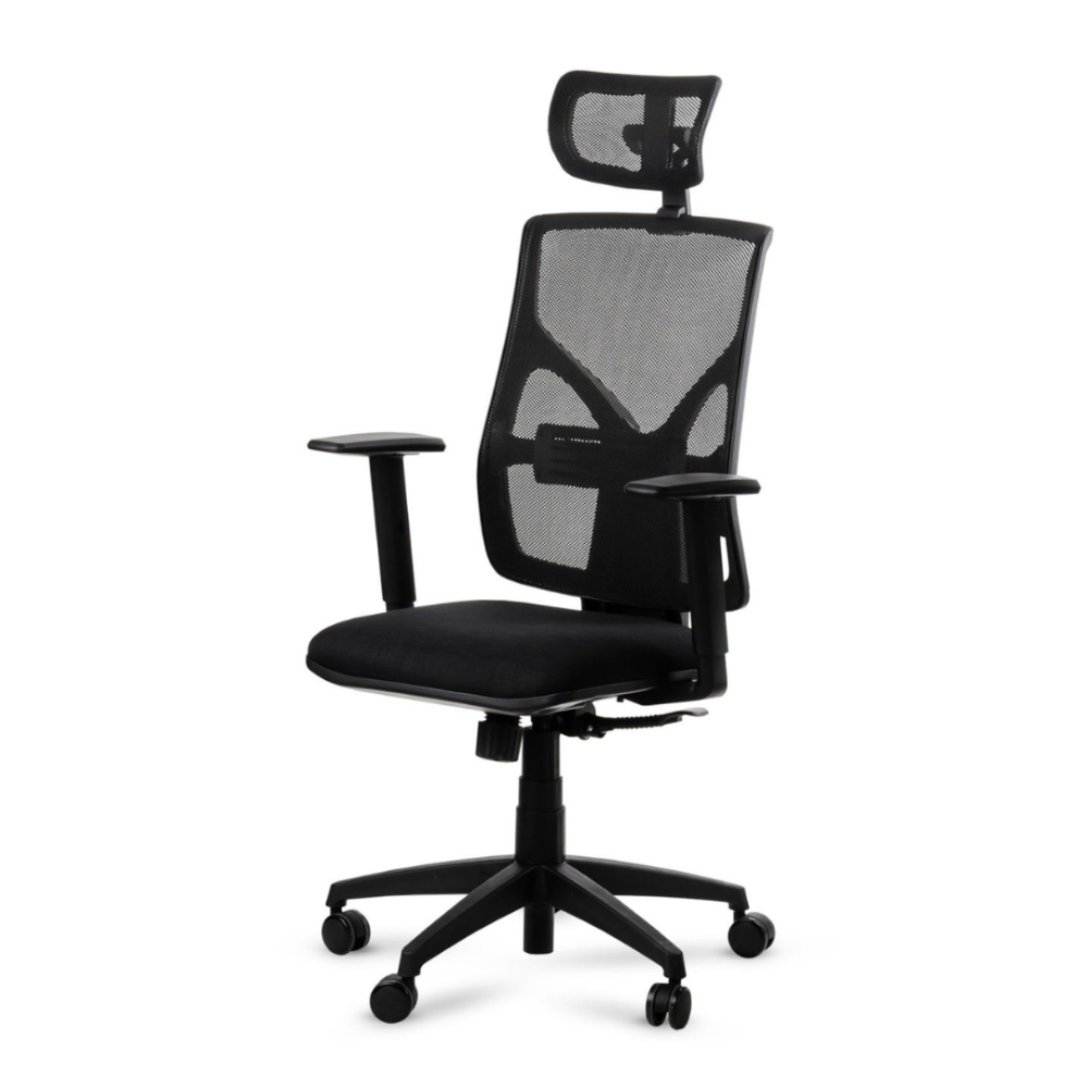 Quamo Silla de oficina Ergonomica Mesh Negra con Apoya brazos