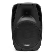 ROSS Altavoz pasivo 12" RPP-1219-2