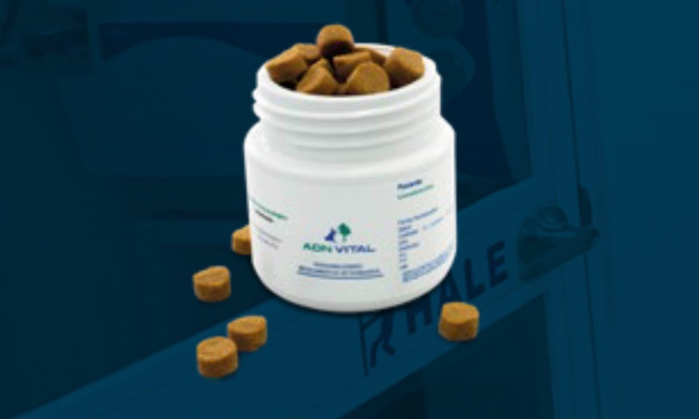 SELEGILINA GALLETAS