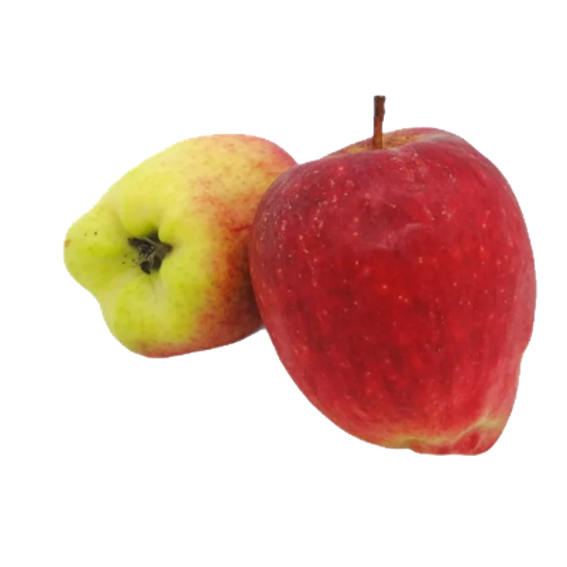 Manzana de agua nacional x Lb