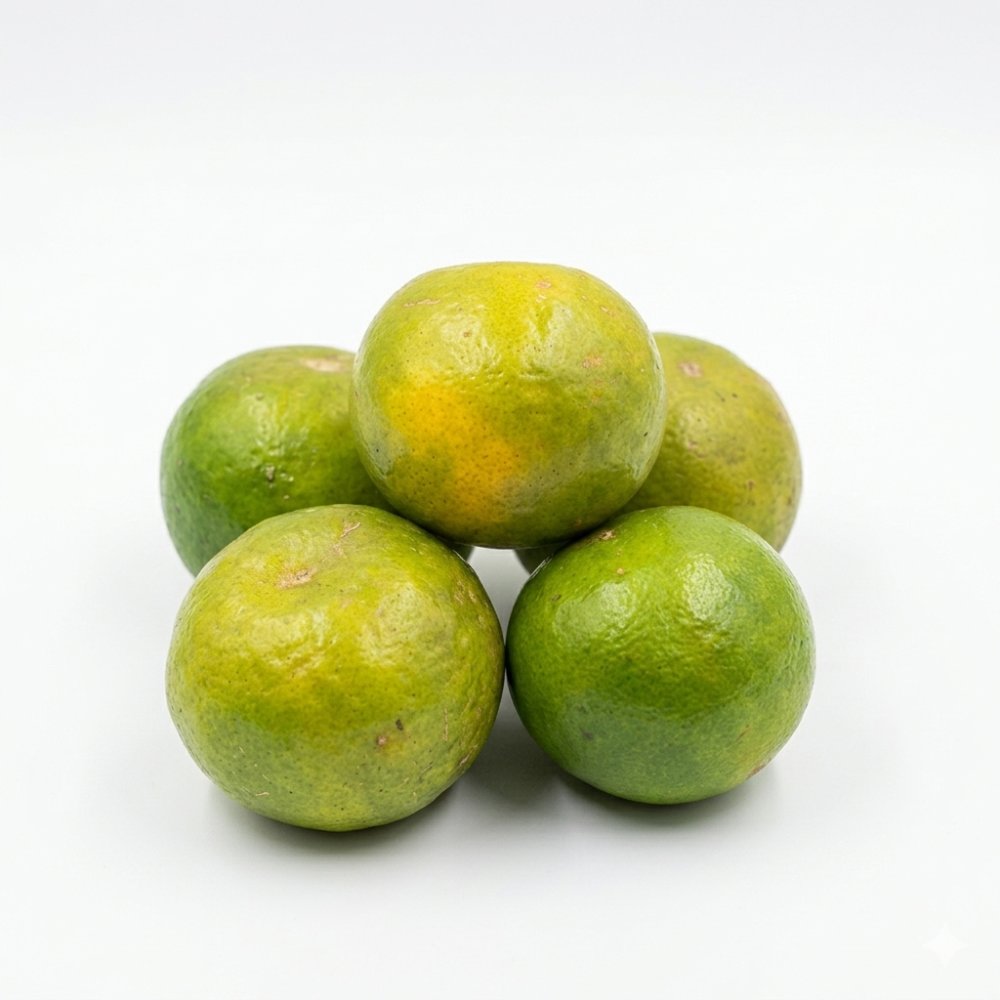Mandarina Oneco x Lb