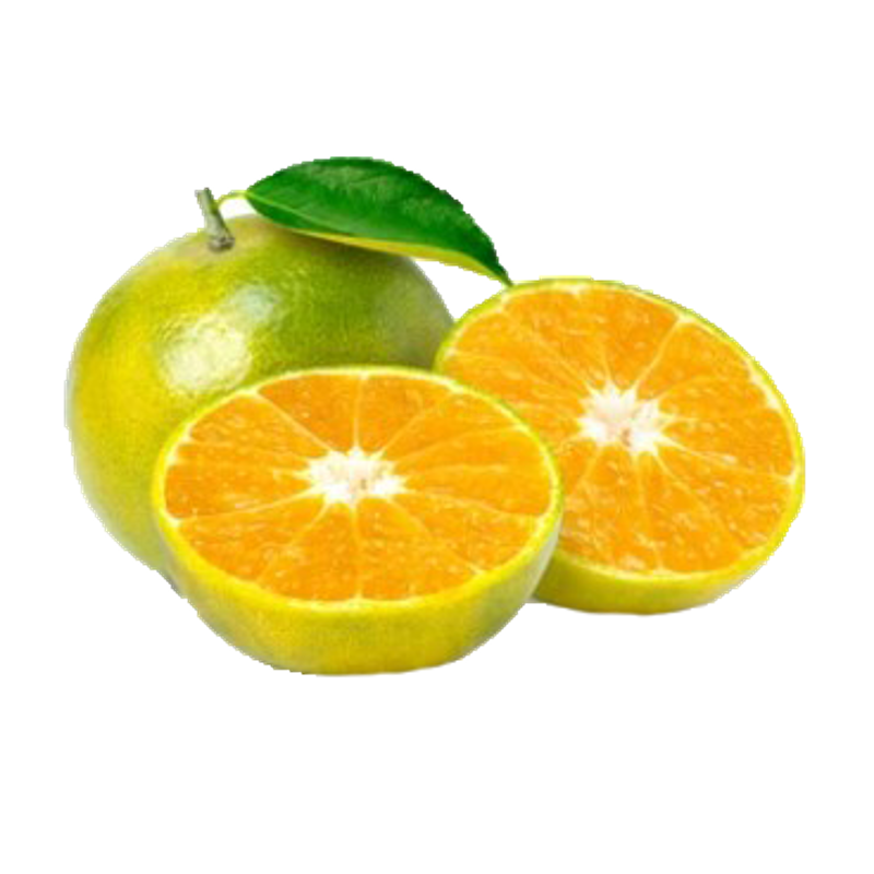Naranja común x Lb