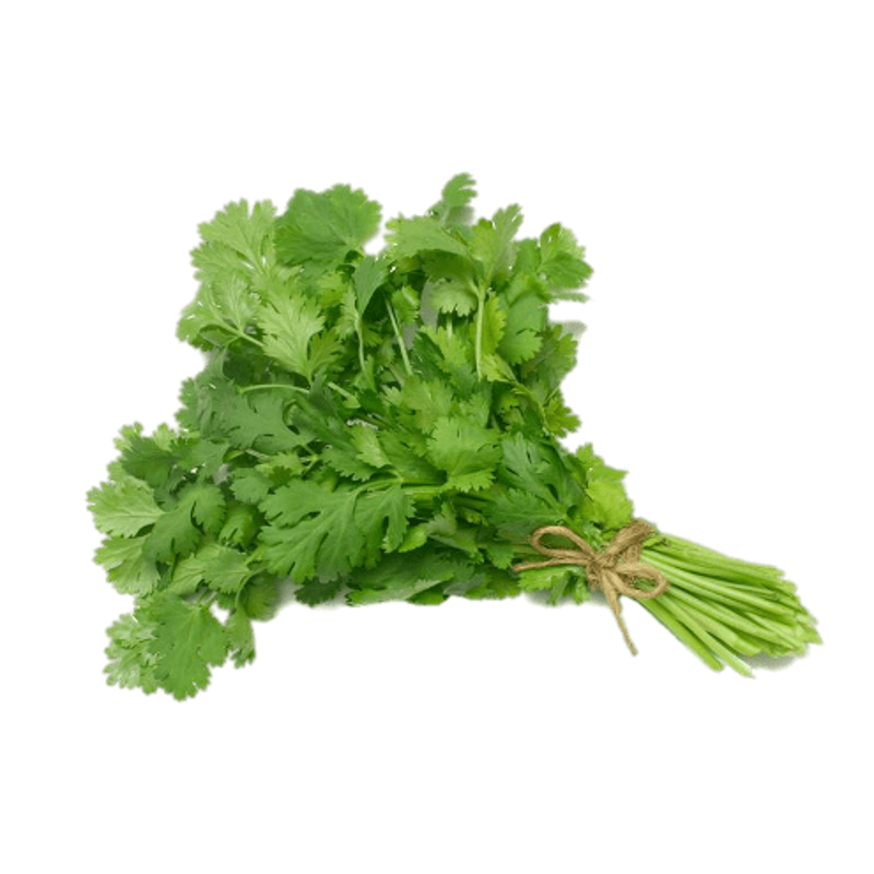 Cilantro x 100 g